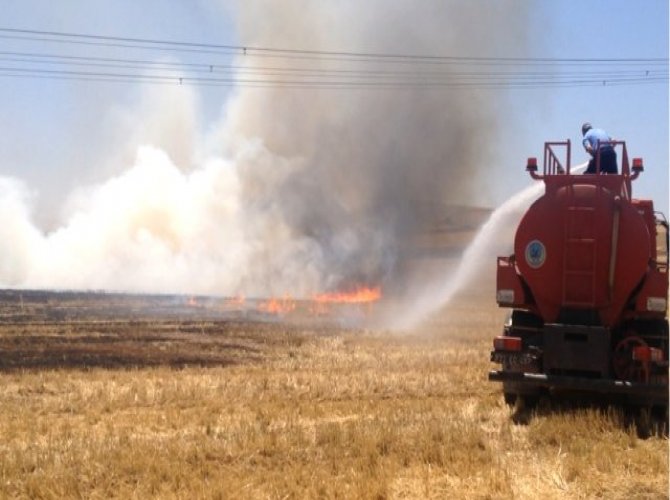 Yazın anız, kışın soba