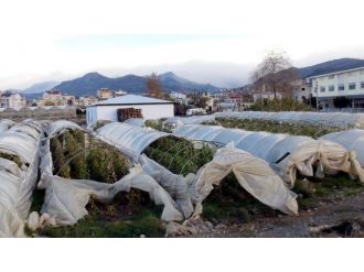 Fırtına seraları vurdu