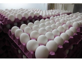 Fiyat artışı satışların düşmesine neden oldu