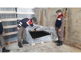 Yılbaşını zehir edeceklerdi