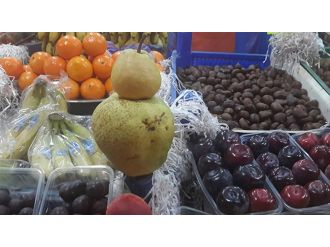 1 kiloluk armut şaşırtıyor