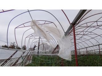 Fırtına üreticileri vurdu