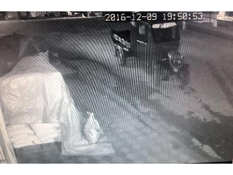 Pat-pat hırsızları kameraya yakalandı