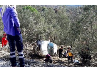 Kadın sürücü zeytinlik alana uçtu