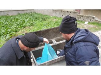 Polis çöpü bakın ne için karıştırdı