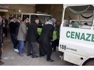 Buzla kaplı gölde can verdiler