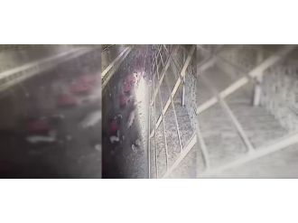 Tavuklar kümese giren tilkiyi kovaladı