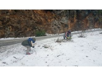Manavgat’a 15 yıl sonra kar yapdı