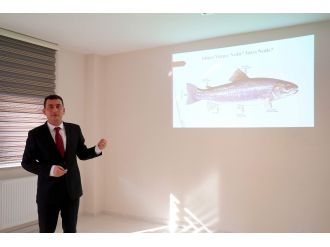 Dünyada bir ilk: Kastamonu’da yapıldı