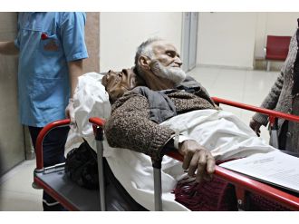 Yaşlı adam 2 ayının saldırısına uğradı