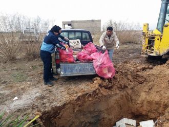 Lokantada kedi eti ele geçirildi
