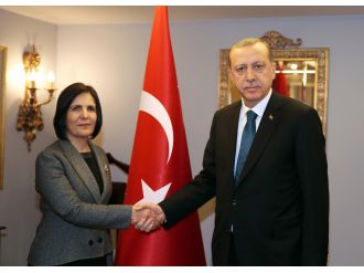 Erdoğan, KKTC Meclis Başkanı’nı kabul etti