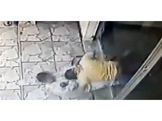 Soyguncu sivil polis tarafından etkisiz hale getirildi