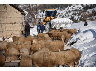 6 kişilik aile ve 300 koyun 11 gün sonra kurtarıldı