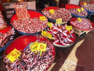 Marmara’da balık bereketi