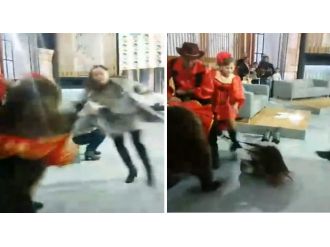 Ayı, kadına böyle saldırdı