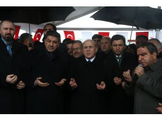 "Hayvanlar alemi çok daha vicdanlı"