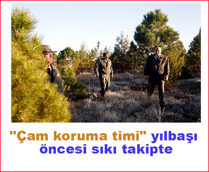 "Çam koruma timi" yılbaşı öncesi sıkı takipte