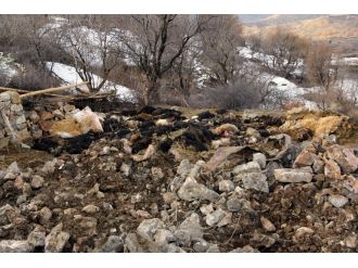 Ahır çöktü, 180 keçi telef oldu