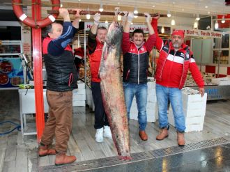 Balıkçılardan 3 büyük av