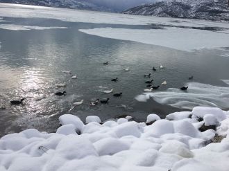 Eğirdir Gölü buz tuttu