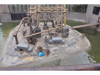 Hayvanat bahçesi sakinlerine yılbaşı hediyesi