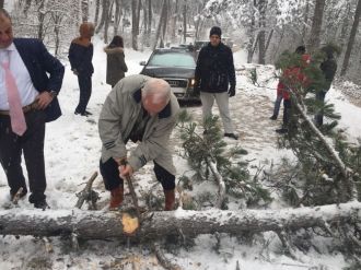 CHP’li vekilin aracının önüne ağaç devrildi