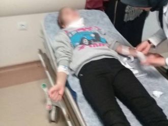 12 yaşındaki kıza köpek saldırdı