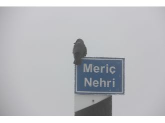 Edirne’de sisten göz gözü görmüyor