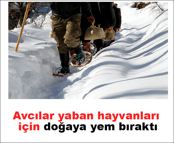 Avcılar yaban hayvanları için doğaya yem bıraktı