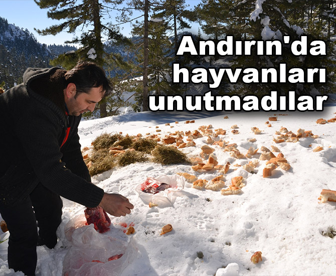 Andırın'da hayvanları unutmadılar