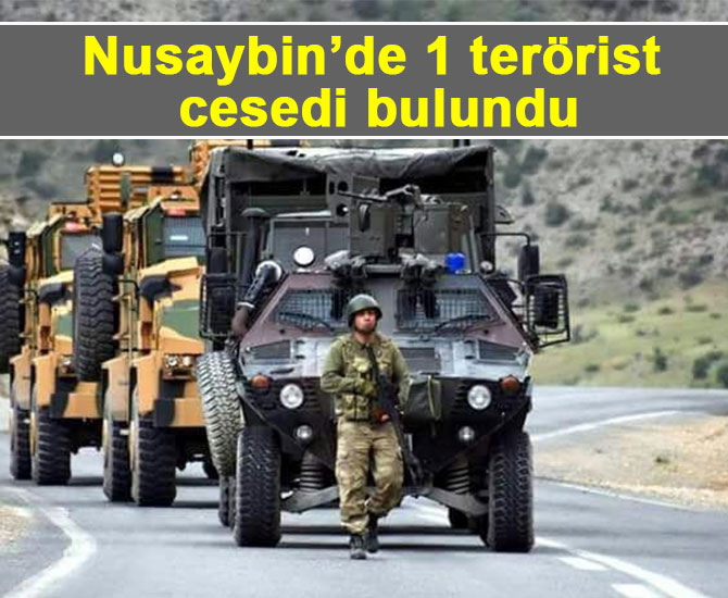 Nusaybin’de 1 terörist cesedi bulundu