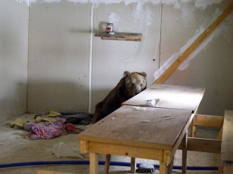 Görevliler tarafından bu halde bulundu