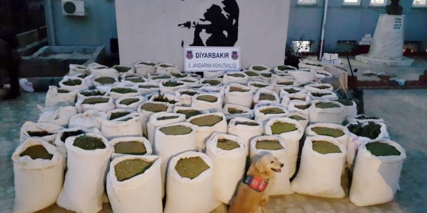 3 ton uyuşturucu madde bulundu; 5 kişi gözaltına alındı