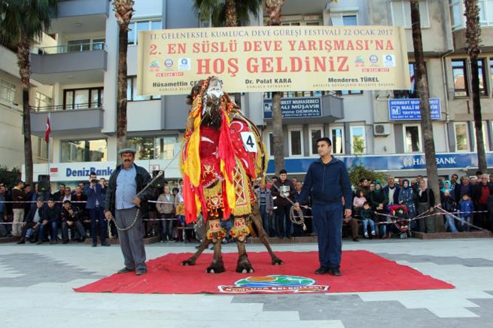 Bu da Antalya'nın en süslü devesi