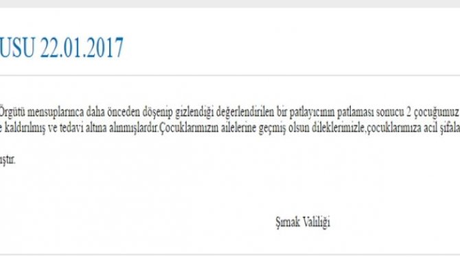 PKK’nın tuzakladığı mayın 2 çocuğu yaraladı