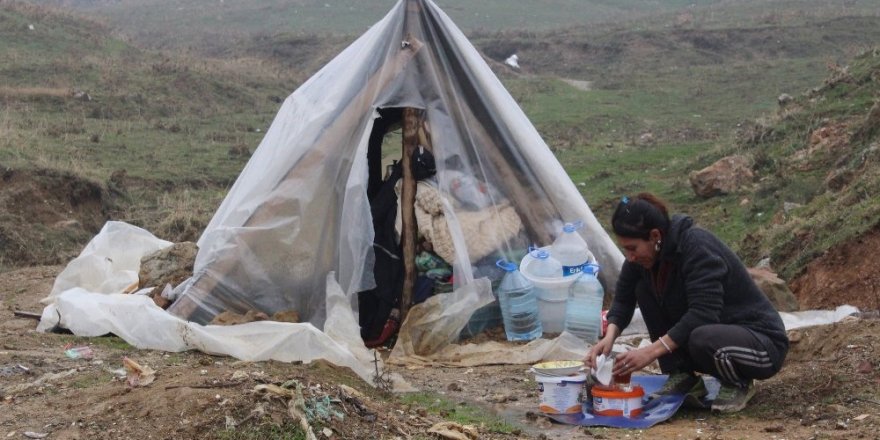 39 yaşındaki kadın eşinden ayrıldı, sokağa çadır kurdu