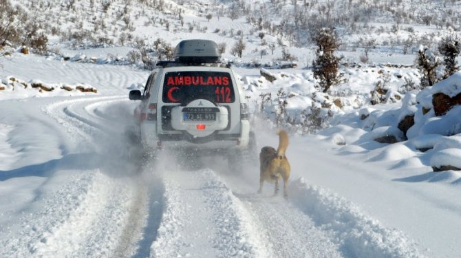 Ekipler minik Leyla için seferber oldu