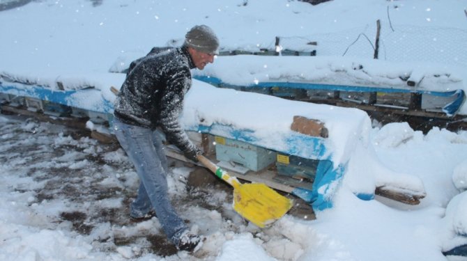 Kış aracıları vurdu