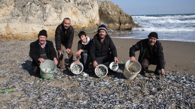 Haberi alan sahile koştu!