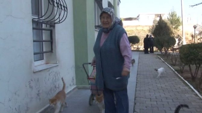 Saldırıya uğrayan hayvansever kadın konuştu