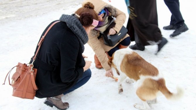 Açlıktan bitkin düşen köpeğin imdadına yetişti