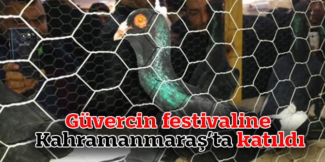 Güvercin festivaline Kahramanmaraş’ta katıldı