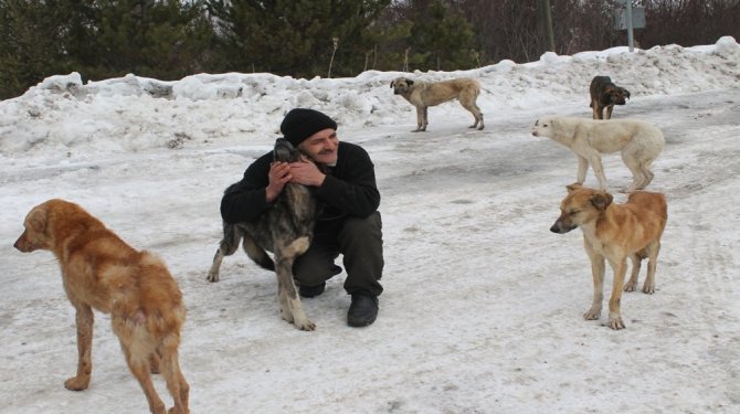 Köpekleri doyurmak için her gün 50 kilometre gidiyor