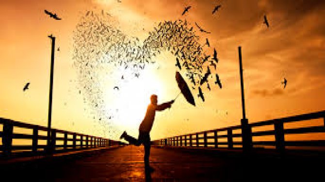 Mutlu gibi görünüyoruz