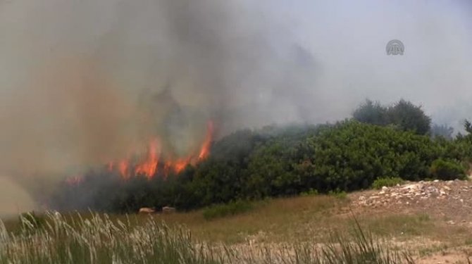 Hatay'da makilik alandaki yangın