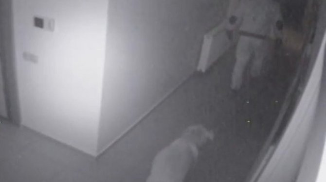 Bu da Hayvansever hırsız