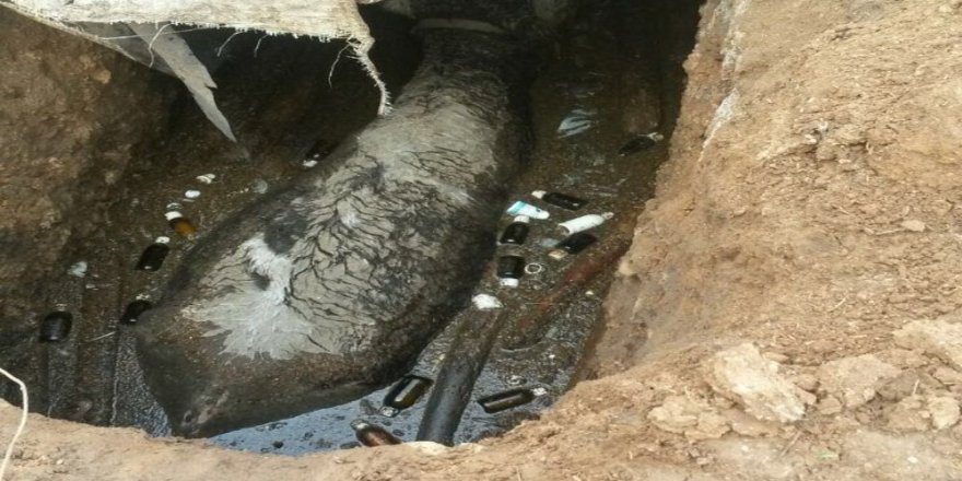 Çukura düşen boğa kurtarılamayınca itfaiye çağırıldı