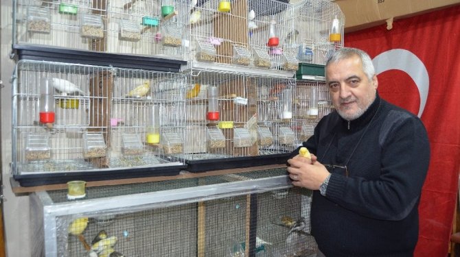 Böyle kuş sevgisi görülmedi