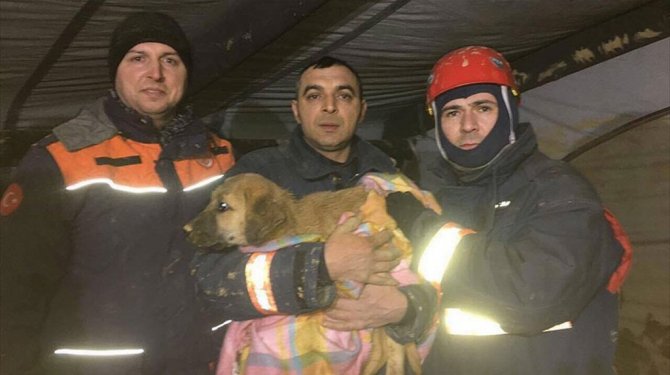 O köpek 11 gün sonra kurtarıldı